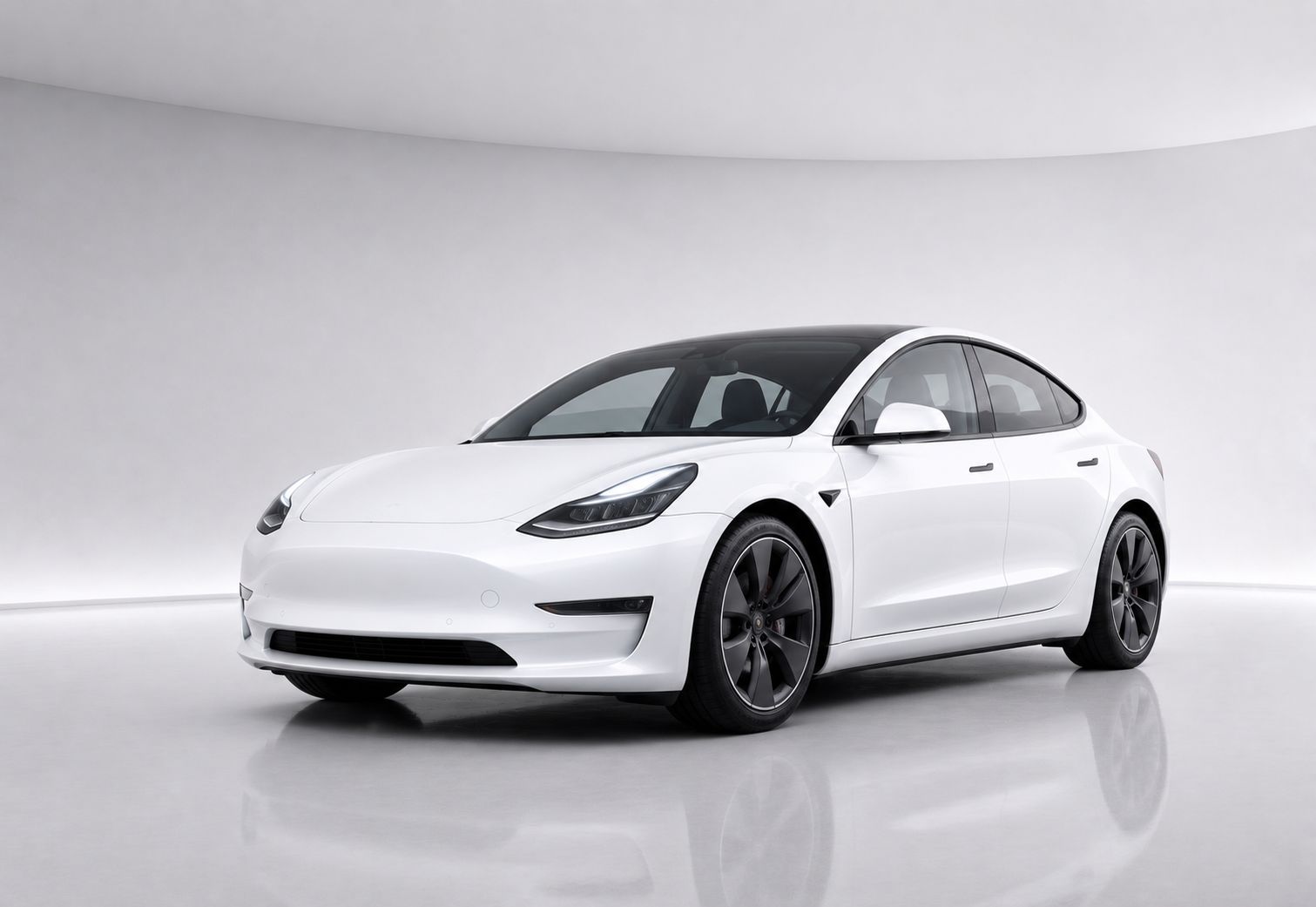 Electric Vehicles rentals
